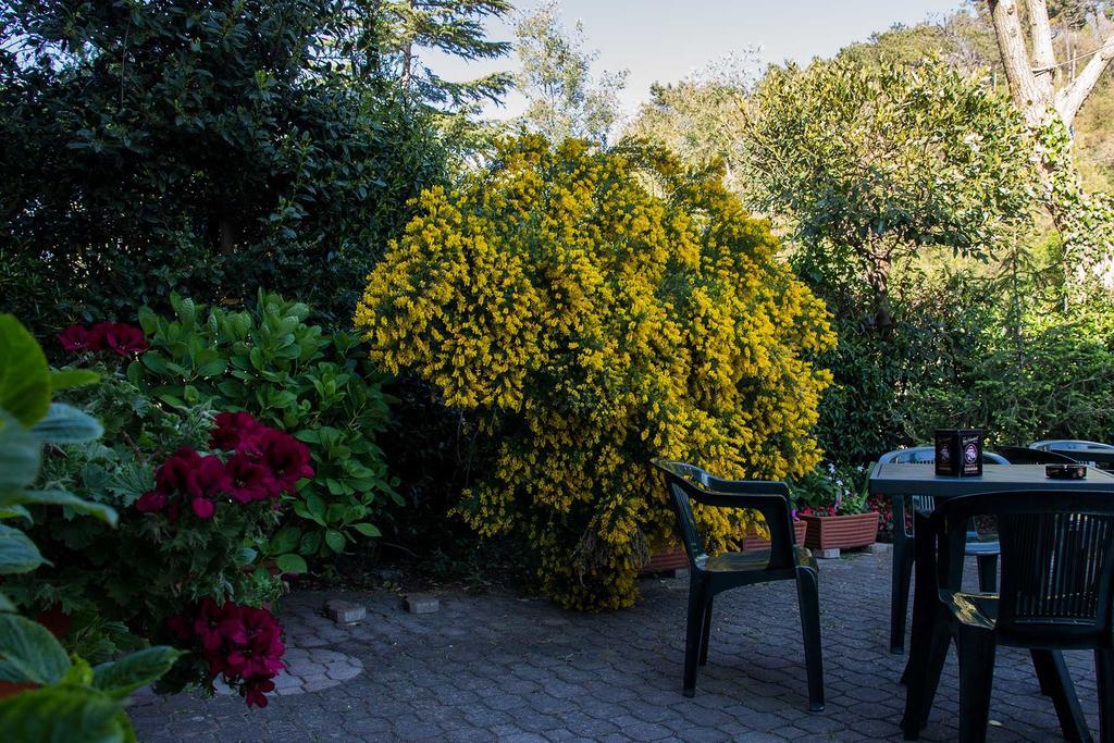 Hotel Silvia Framura - Cinque Terre Exterior foto